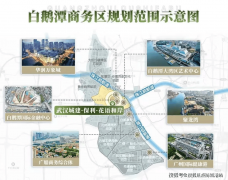 采用2梯2户+独梯入